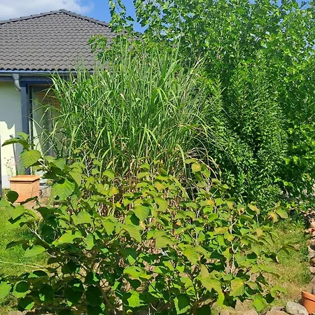 Дом отдыха Haus Mit 3 Schlafzimmern Naehe Dresden